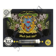 Black Jack AutoFem