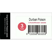 Durban Poison AutoFem