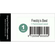 Freddy's Best Fem