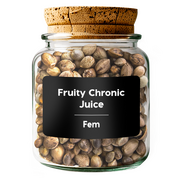 FRUITY CHRONIC JUICE Fem
