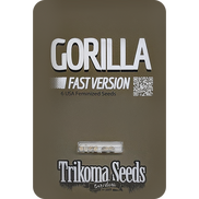 Gorilla Fast Version Fem