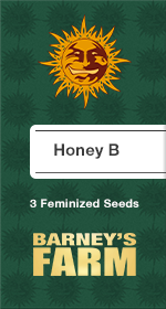 Honey B Fem