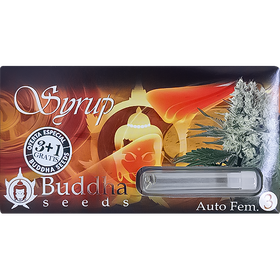 Syrup AutoFem