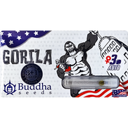 Gorilla AutoFem