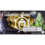 Calamity Jane AutoFem