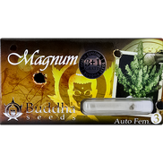 Magnum AutoFem