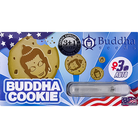 Cookie AutoFem 