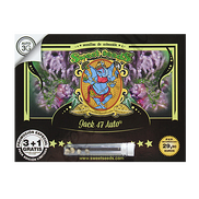 Jack 47 AutoFem