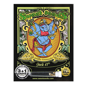 Jack 47 Fem