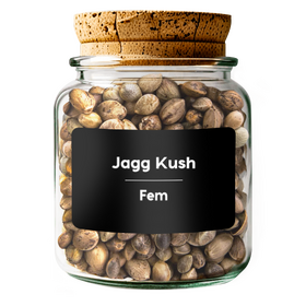 JAGG KUSH Fem