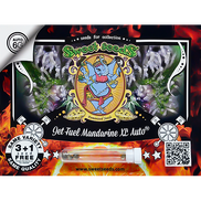 Jet Fuel Mandarine XL AutoFem