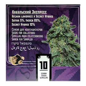 Kabul Express Fem