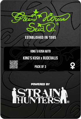 King`s Kush AutoFem