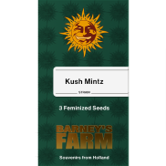Kush Mintz Fem