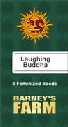Laughing Buddha Fem