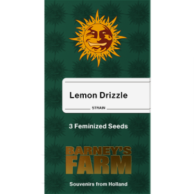 Lemon Drizzle Fem