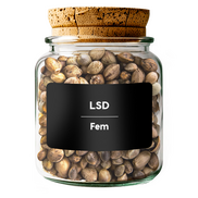 LSD Fem