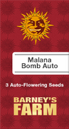 Malana Bomb AutoFem