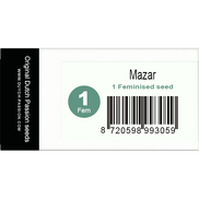 Mazar Fem