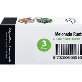 Melonade Runtz Fem