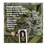 Moscow Blueberry Fem