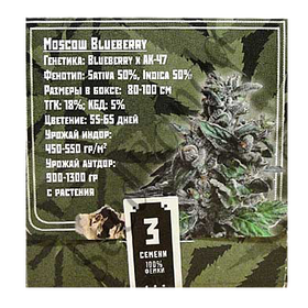 Moscow Blueberry Fem
