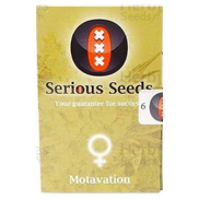 Motavation Fem