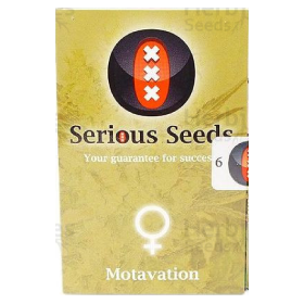 Motavation Fem