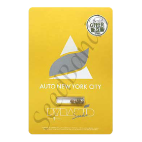 New York City AutoFem