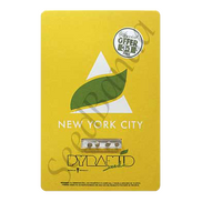 New York City Fem