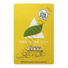 New York City Fem