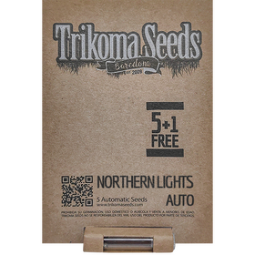 Northern Lights AutoFem