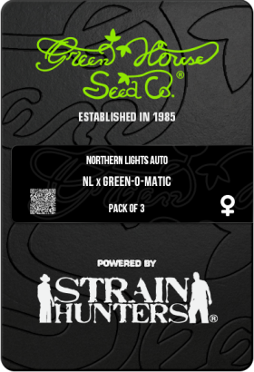Northern Lights AutoFem