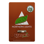 Northern Lights Fem