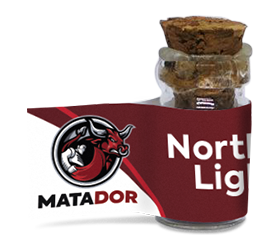 Northern Lights AutoFem