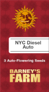 NYC Diesel AutoFem