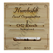 OG Kush Fem