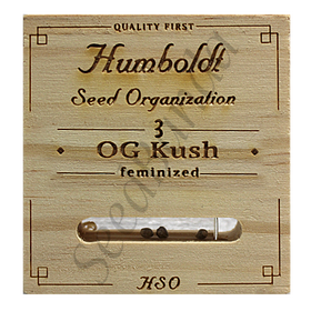 OG Kush Fem