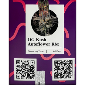 OG Kush AutoFem
