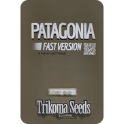 Patagonia Fast Version Fem