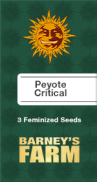 Peyote Critical Fem