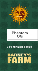Phantom OG Fem