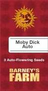 Moby Dick AutoFem