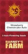 Strawberry Cheesecake AutoFem