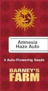 Amnesia Haze AutoFem