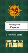 Pineapple Express Fem