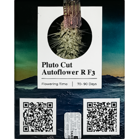 Pluto Cut AutoFem