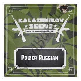 Power Russian Fem