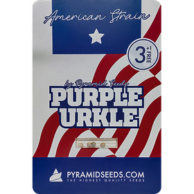 Purple Urkle Fem