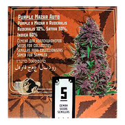 Purple Mazar AutoFem
